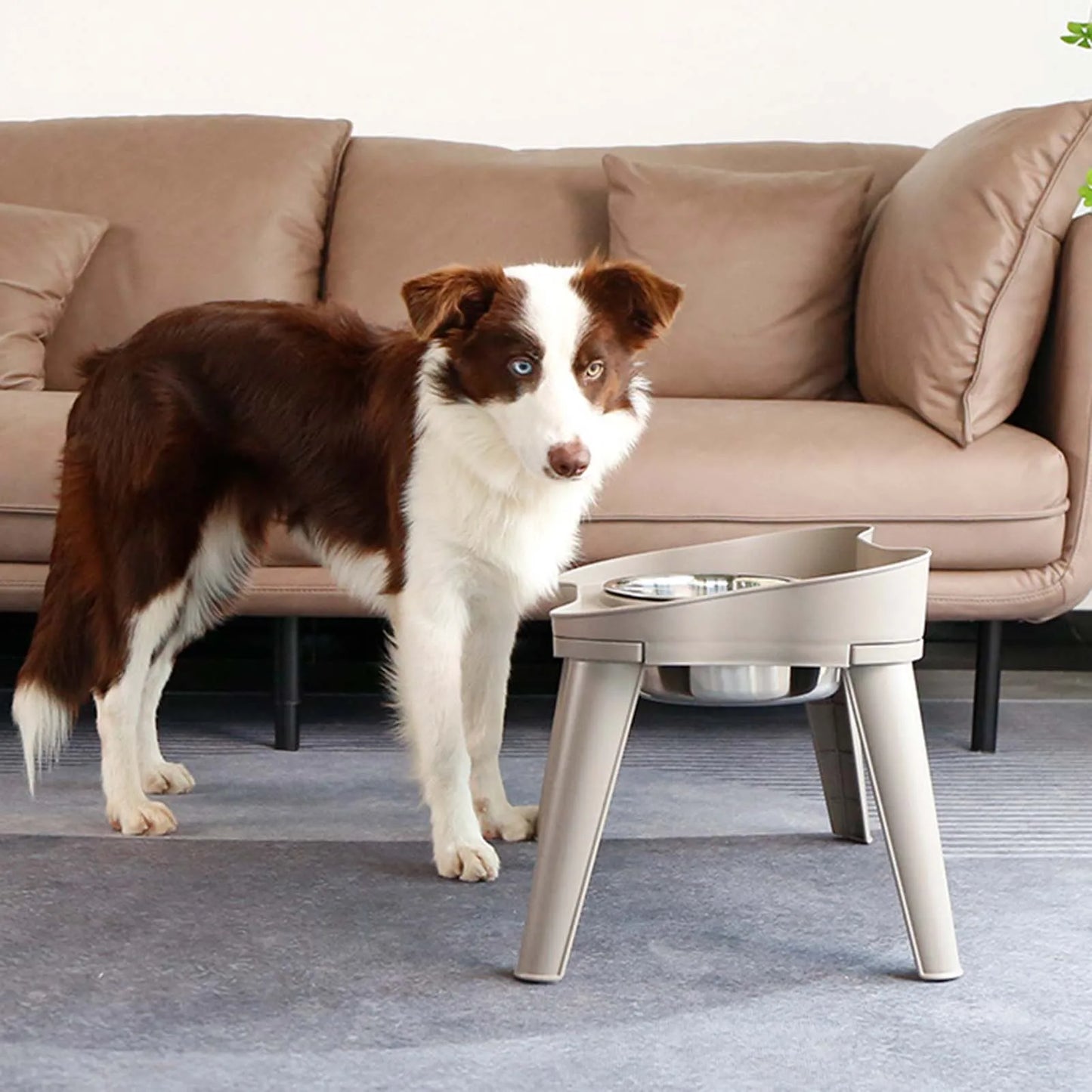 Stainless Steel Elevated Dog Bowl Non-Slip