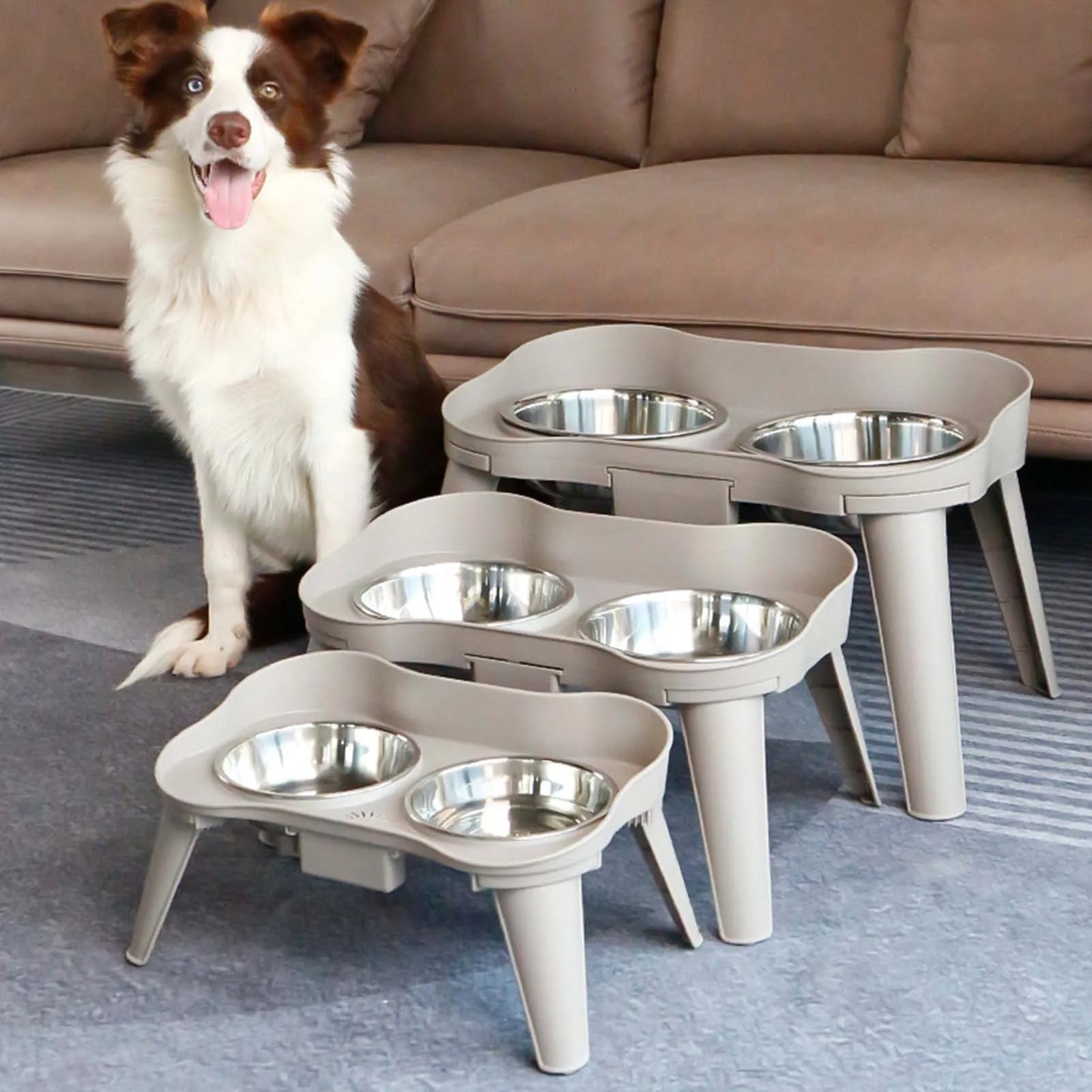 Stainless Steel Elevated Dog Bowl Non-Slip